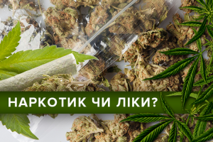 Корисні властивості коноплі: допомога чи шкода для здоров’я людини