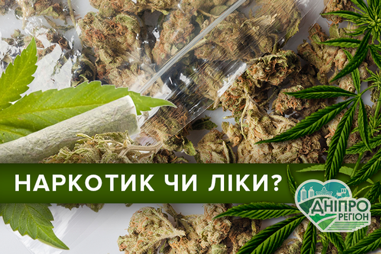 Корисні властивості коноплі: допомога чи шкода для здоров’я людини Корисні властивості коноплі: допомога чи шкода для здоров’я людини