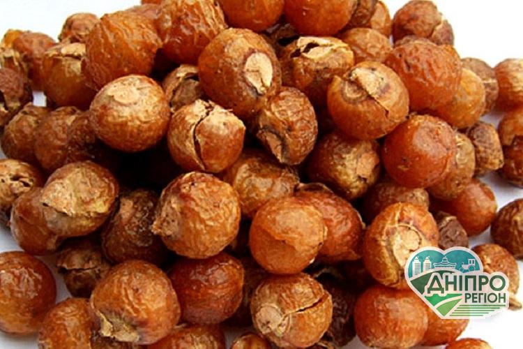 Мильні горіхи: органічна побутова хімія Мильні горіхи: органічна побутова хімія