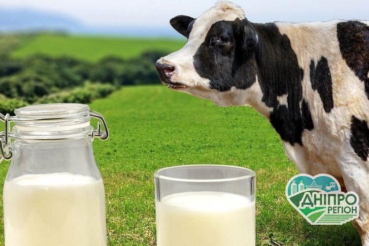 Чи буде сезонне зниження цін на молоко Чи буде сезонне зниження цін на молоко