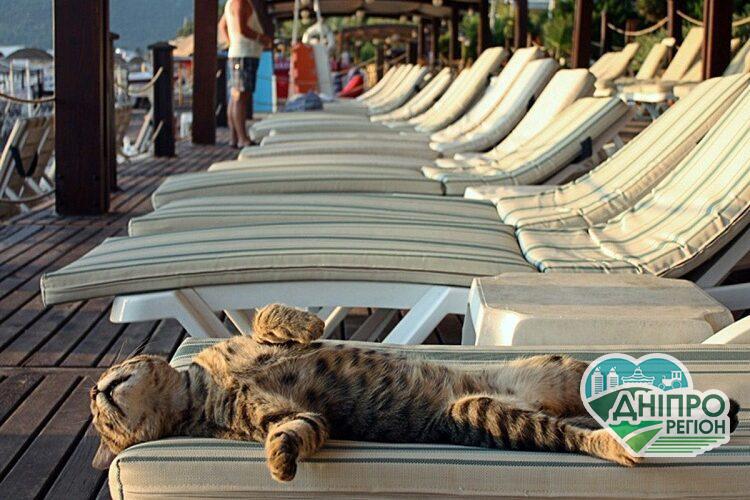 Гороскоп на 8 березня: кому можна байдикувати Гороскоп на 8 березня: кому можна байдикувати