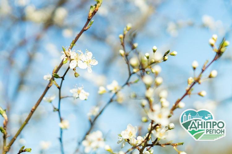 Рекомендації астрологів на 13 березня Рекомендації астрологів на 13 березня