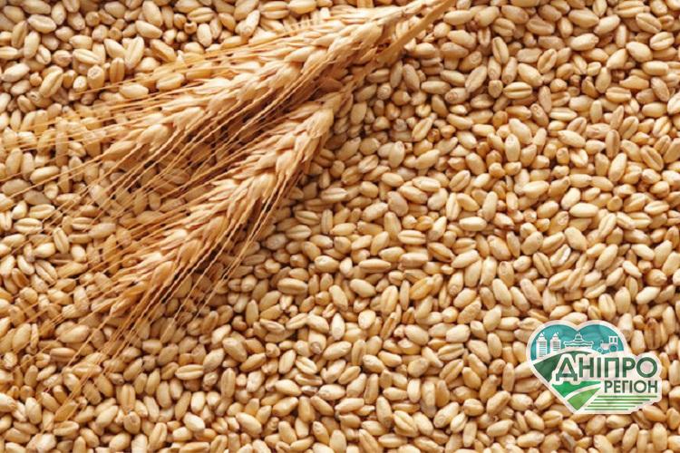 Україна купуватиме хліб за кордоном Україна купуватиме хліб за кордоном