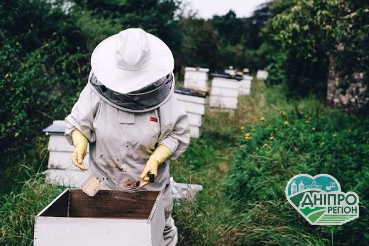 У Раді зареєстрували законопроект про розвиток бджільництва У Раді зареєстрували законопроект про розвиток бджільництва