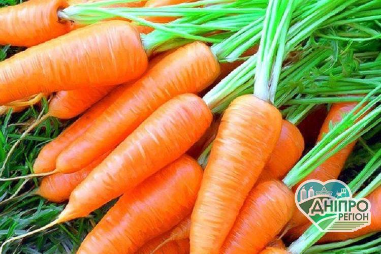 Ціновий спад. Скільки коштує морква в Дніпрі, чи варто робити великі запаси Ціновий спад. Скільки коштує морква в Дніпрі, чи варто робити великі запаси
