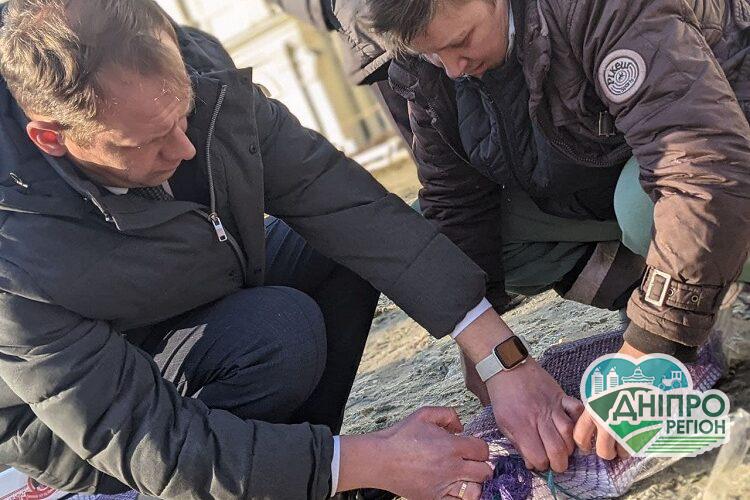 Держекоінспекція випустила на волю щигликів конфіскованих у браконьєрів Держекоінспекція випустила на волю щигликів, конфіскованих у браконьєрів