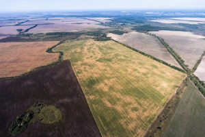 Громади Дніпропетровщини отримали у власність найбільше сільськогосподарських угідь
