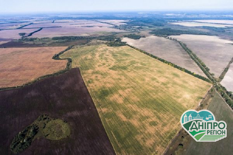 Громади Дніпропетровщини отримали у власність найбільше сільськогосподарських угідь Громади Дніпропетровщини отримали у власність найбільше сільськогосподарських угідь