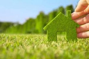 Які земельні ділянки не підлягають оподаткуванню