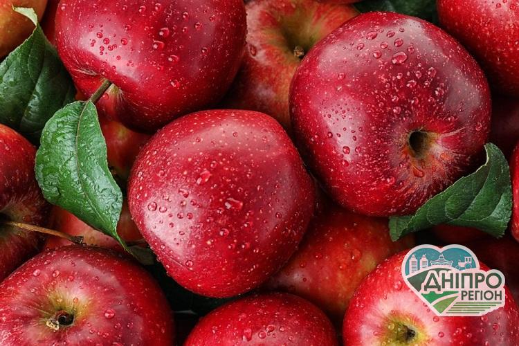 В Україні прогнозують подорожчання яблук Яблука – користь чи шкода: що буде, якщо їсти щодня