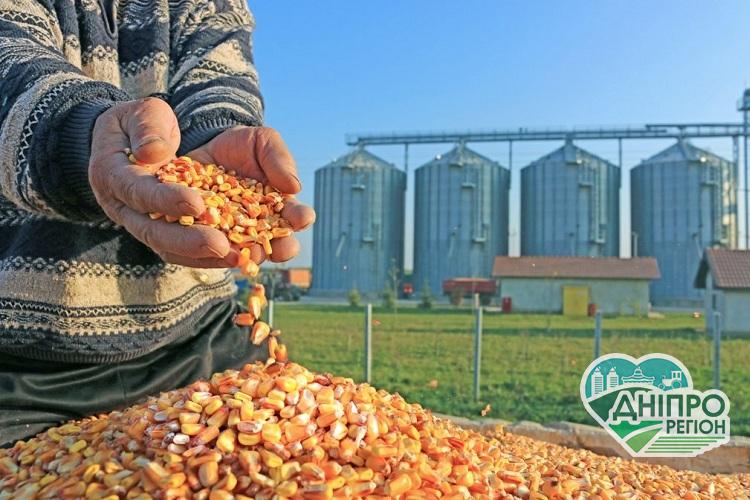 На Дніпропетровщині побудують завод з переробки кукурудзи На Дніпропетровщині побудують завод з переробки кукурудзи