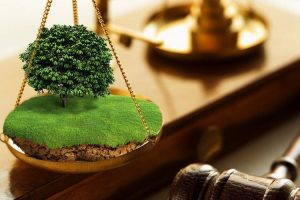 Озвучено переваги земельного аудиту для територіальних громад