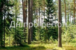 Держекоінспекція посилює контроль у лісах та ПЗФ в період «сезону тиші»