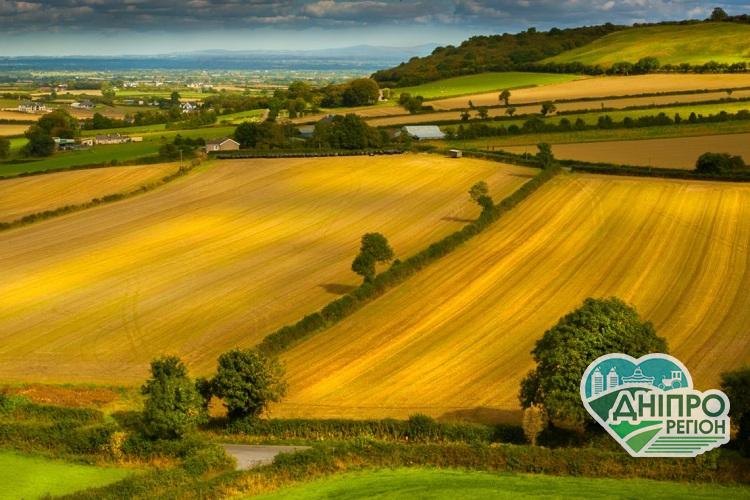 Всі українці мають право безкоштовно приватизувати землю: що для цього потрібно Всі українці мають право безкоштовно приватизувати землю: що для цього потрібно