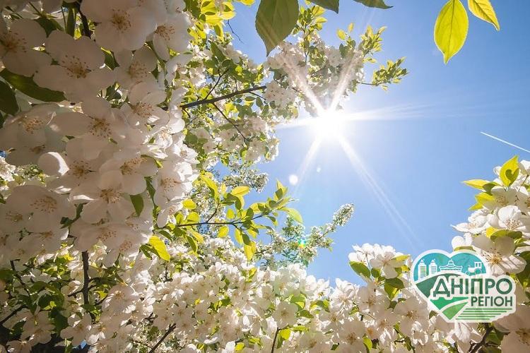 Рекомендації астрологів на 22 березня Рекомендації астрологів на 22 березня