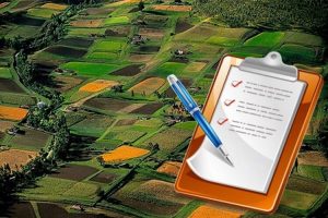 Які потрібно прийняти законопроєкти до відкриття ринку землі