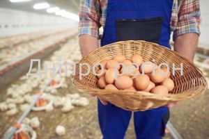 Дніпропетровщина – лідер України з виробництва сільськогосподарської продукції