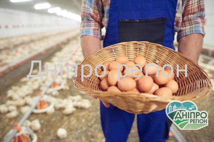 Дніпропетровщина – лідер України з виробництва сільськогосподарської продукції Дніпропетровщина – лідер України з виробництва сільськогосподарської продукції