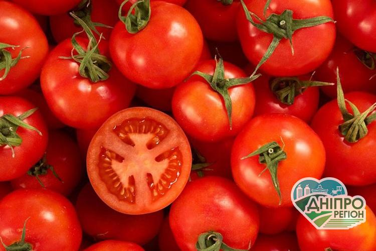 Шкода та користь від помідорів Шкода та користь від помідорів