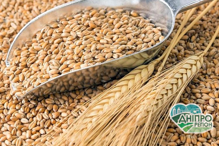 Скільки втрачає Україна через незаконні операції з зерном Нікопольські аграрії відкрито звернулися до державної влади: лист звернення