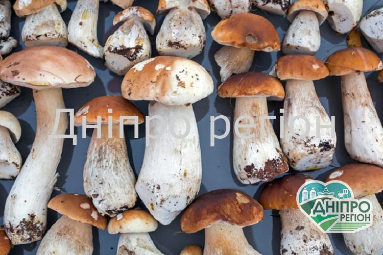 Озвучено ціни на гриби в Україні 7 вересня – день Созонта: прикмети та заборони дня