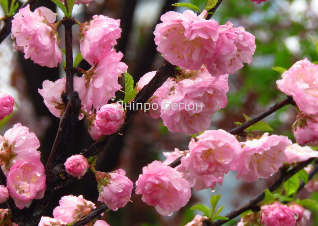 24 квітня 2023 день святого Антипа: прикмети та заборони дня Яке свято 4 травня: помийте вікна та не пліткуйте