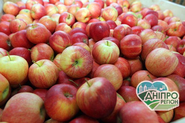 В Україні змінилися ціни на яблука