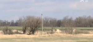 На Дніпропетровщині знайшли найменше село в області (ВІДЕО)