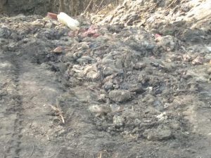 100 тон кишок та внутрішніх органів: на Дніпропетровщині знайшли смердюче звалище (ФОТОФАКТ)