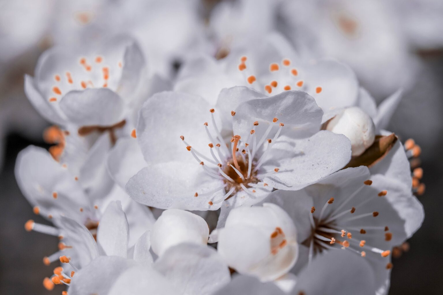 20 квітня Килинин день: прикмети та заборони дня 20 квітня Килинин день: прикмети та заборони дня