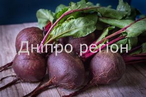 Корисні властивості буряка, про які треба знати