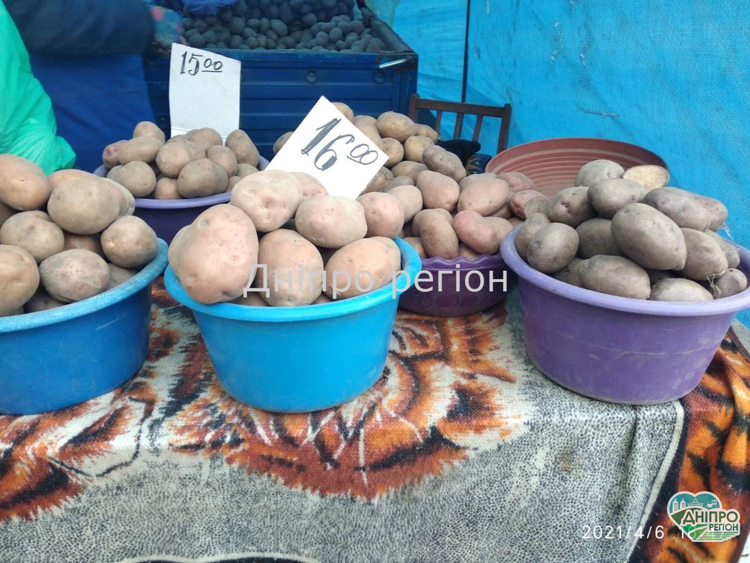 В Україні впали ціни на картоплю: скільки можна зекономити