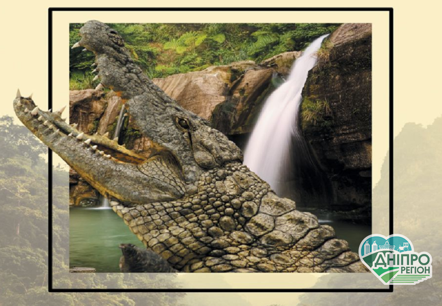 Дніпрян запрошують на першу та єдину в Україні “Крокодилову ферму”: фото безкоштовно
