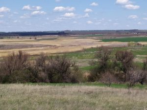 На Дніпропетровщині пересихає річка Кільчень. Жалюгідний вигляд колишньої красуні (ФОТО)