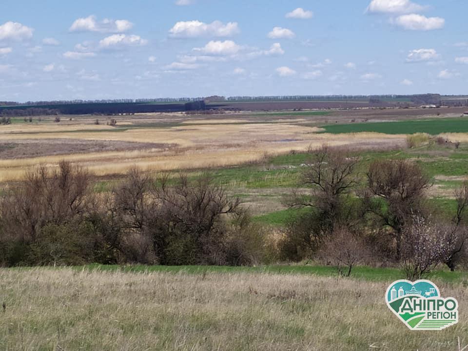 На Дніпропетровщині пересихає річка Кільчень. Жалюгідний вигляд колишньої красуні (ФОТО)