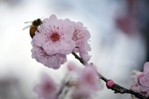 28 квітня – Пудів день: чого не варто робити, щоб не накликати нещастя