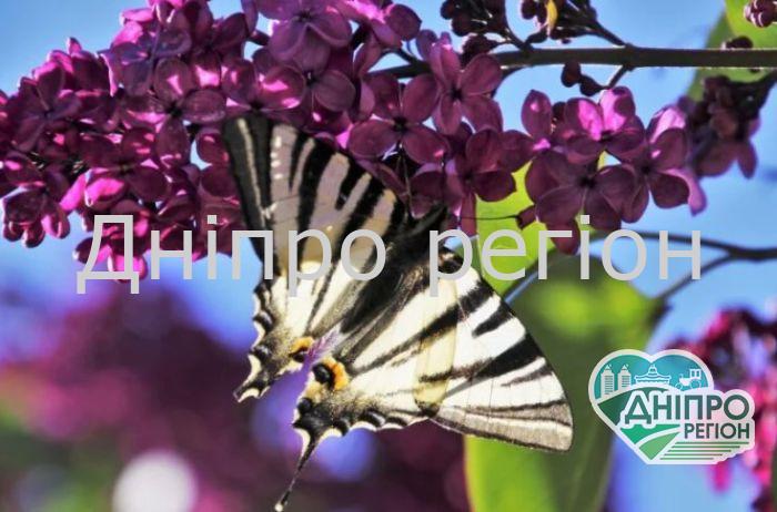 У травні буде багато вихідних! Скільки днів гуляємо