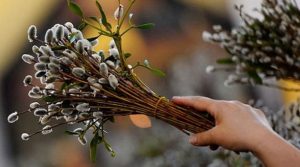 25 квітня – Вербна неділя 2021: як святкувати, найважливіші традиції і заборони