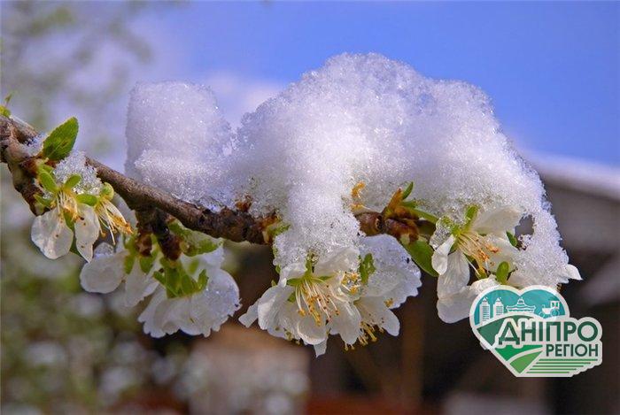 Не до жартів! Рятувальники попереджають, які області накриють заморозки