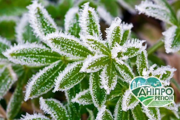 Заморозки до -5: рятувальники оголосили перший рівень небезпеки, коли чекати