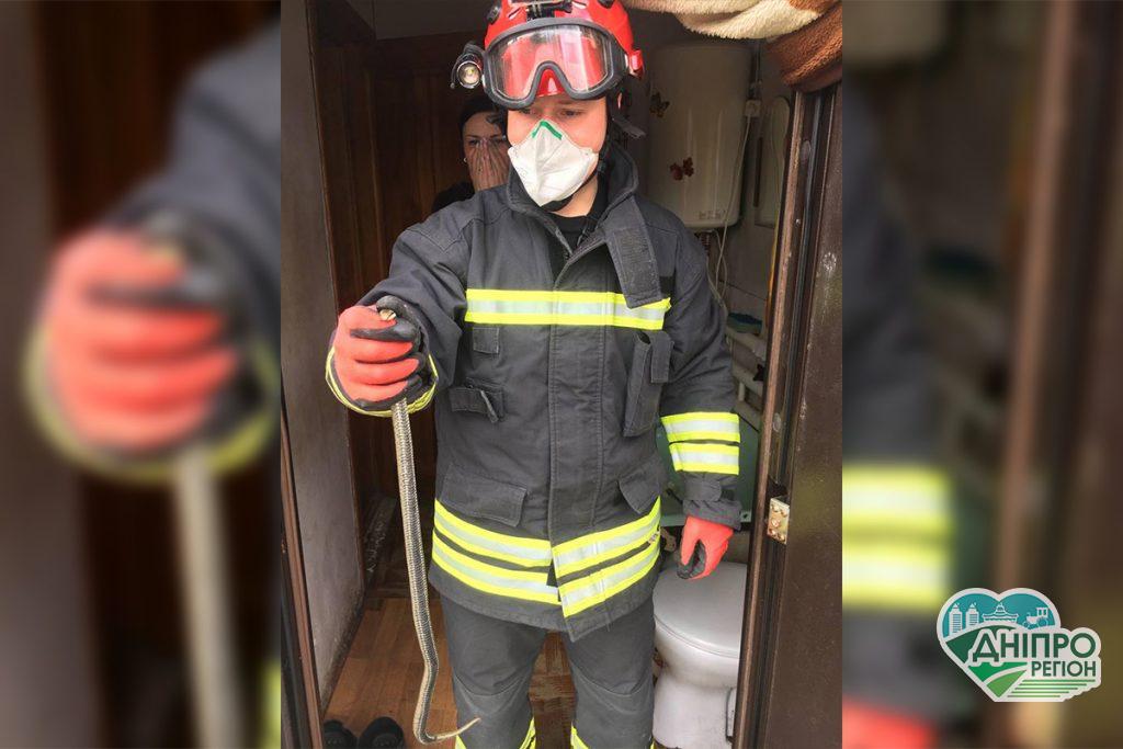 Кричали та гукали на допомогу: у Дніпрі змія заповзла в приватний будинок (Фото)