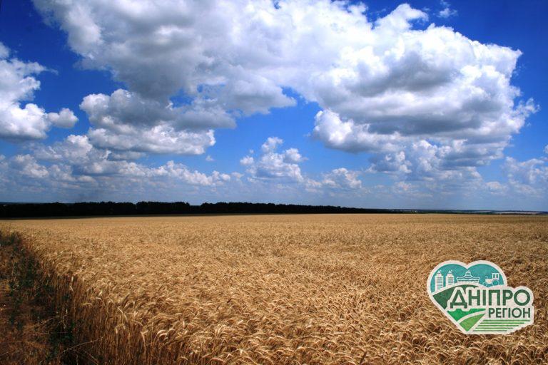 На Дніпропетровщини за підробними документами оформили земельну ділянку