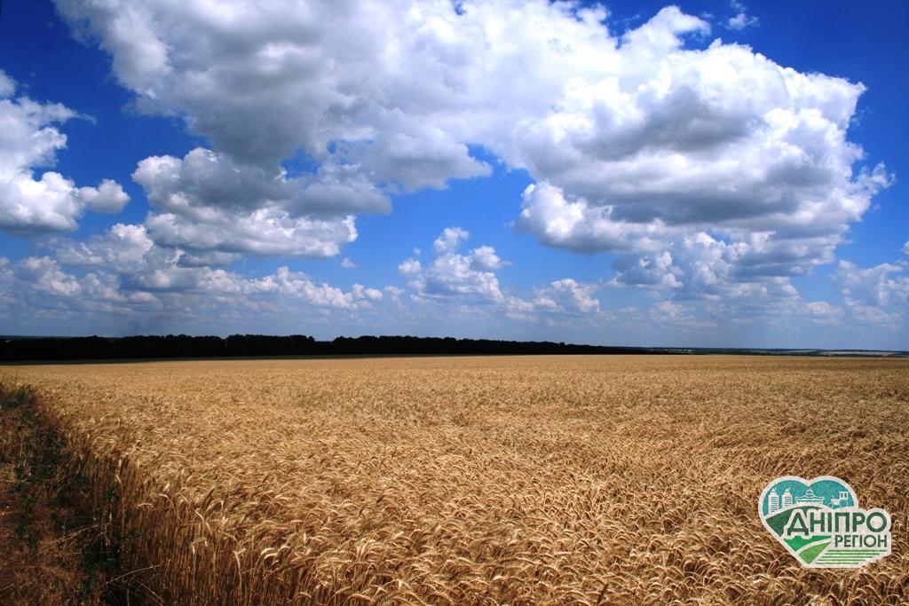На Дніпропетровщини за підробними документами оформили земельну ділянку На Дніпропетровщини за підробними документами оформили земельну ділянку