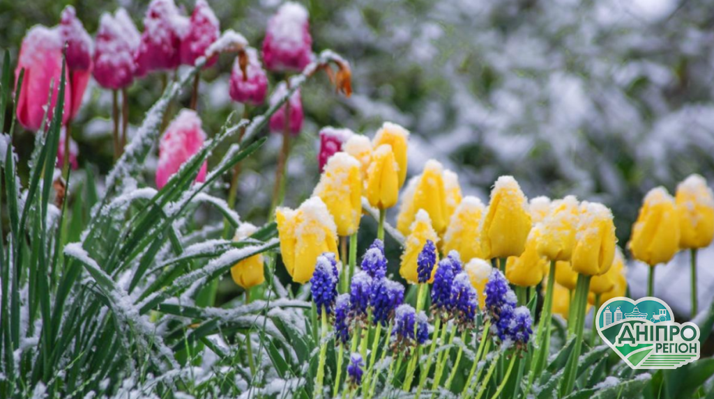 Вдарять заморозки: в Україну вривається антициклон Trudi, синоптики змінили прогноз погоди