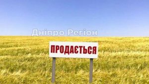 Коли в Україні можна розпочинати продаж землі