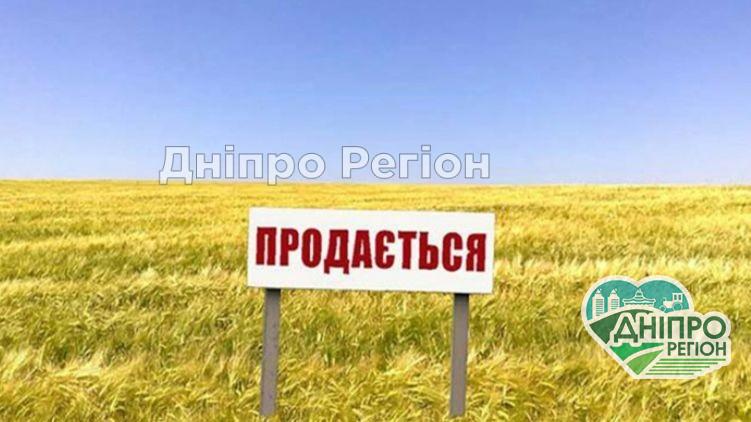 Коли в Україні можна розпочинати продаж землі Коли в Україні можна розпочинати продаж землі