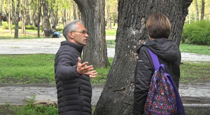 Де в Дніпрі та області ростуть найстаріші дерева: ви будете здивовані (ВІДЕО)