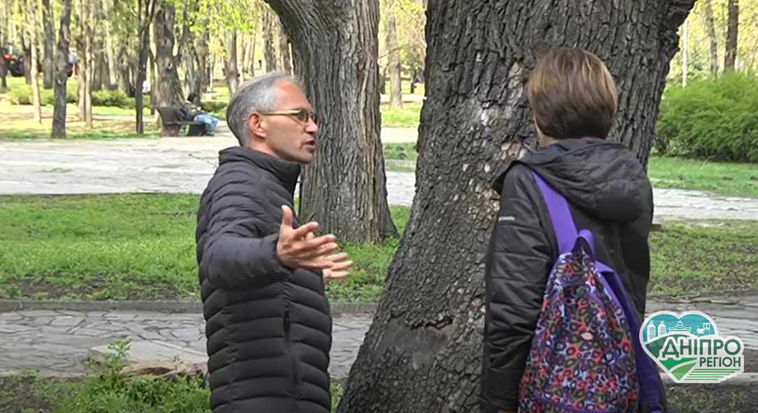 Де в Дніпрі та області ростуть найстаріші дерева: ви будете здивовані (ВІДЕО)