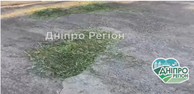 Ганьба! На Дніпропетровщині замість ремонту дороги засипали вибоїни свіжо покошеною травою (ВІДЕО) Ганьба! На Дніпропетровщині замість ремонту дороги засипали вибоїни свіжо покошеною травою (ВІДЕО)