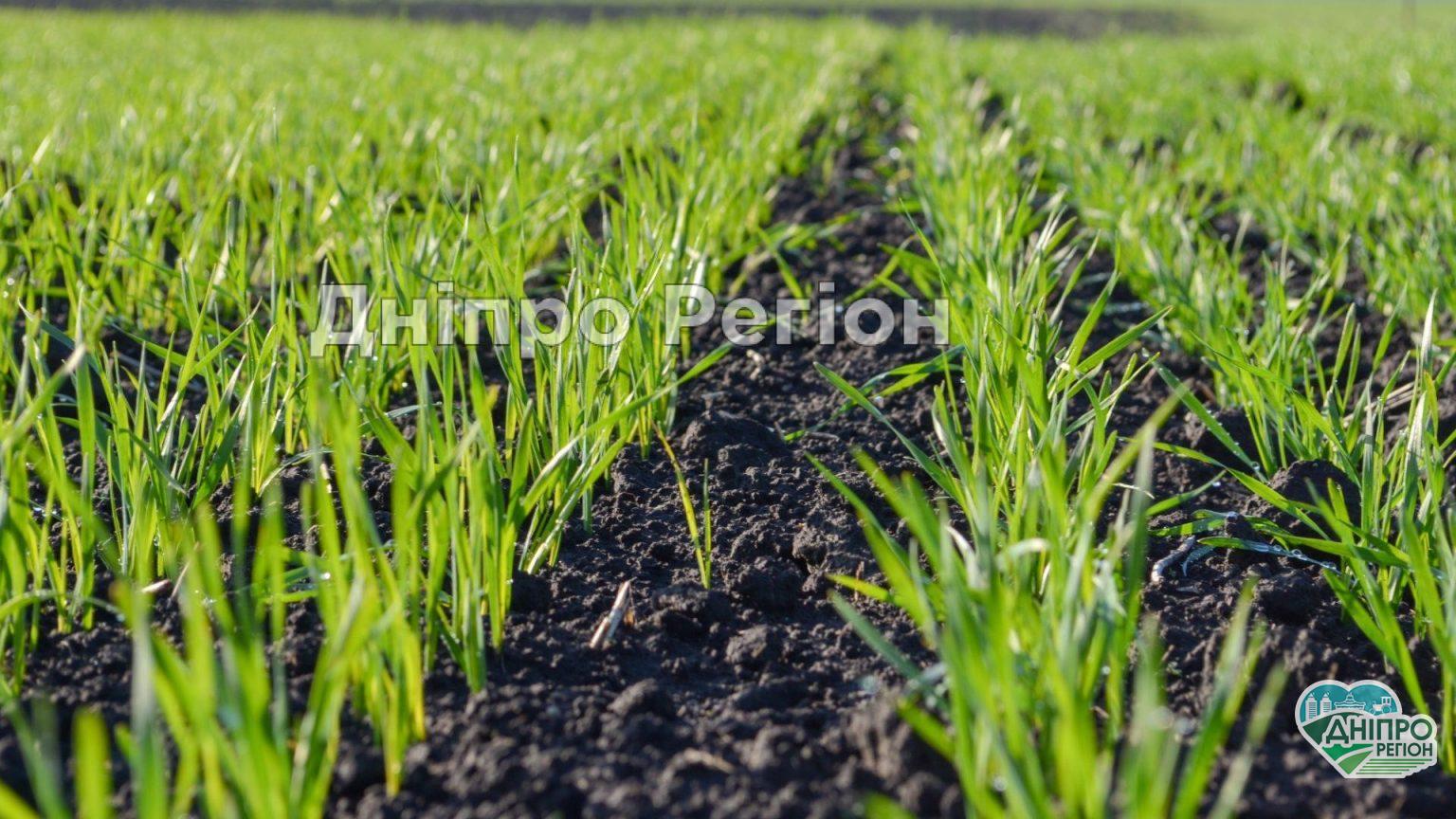 З липня 2021 року мешканці Дніпропетровщини зможуть купити або продати землю: що треба знати З липня 2021 року мешканці Дніпропетровщини зможуть купити або продати землю: що треба знати